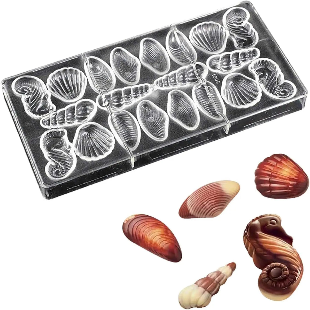 19278 / Moldes de chocolate con forma de conchas marinas