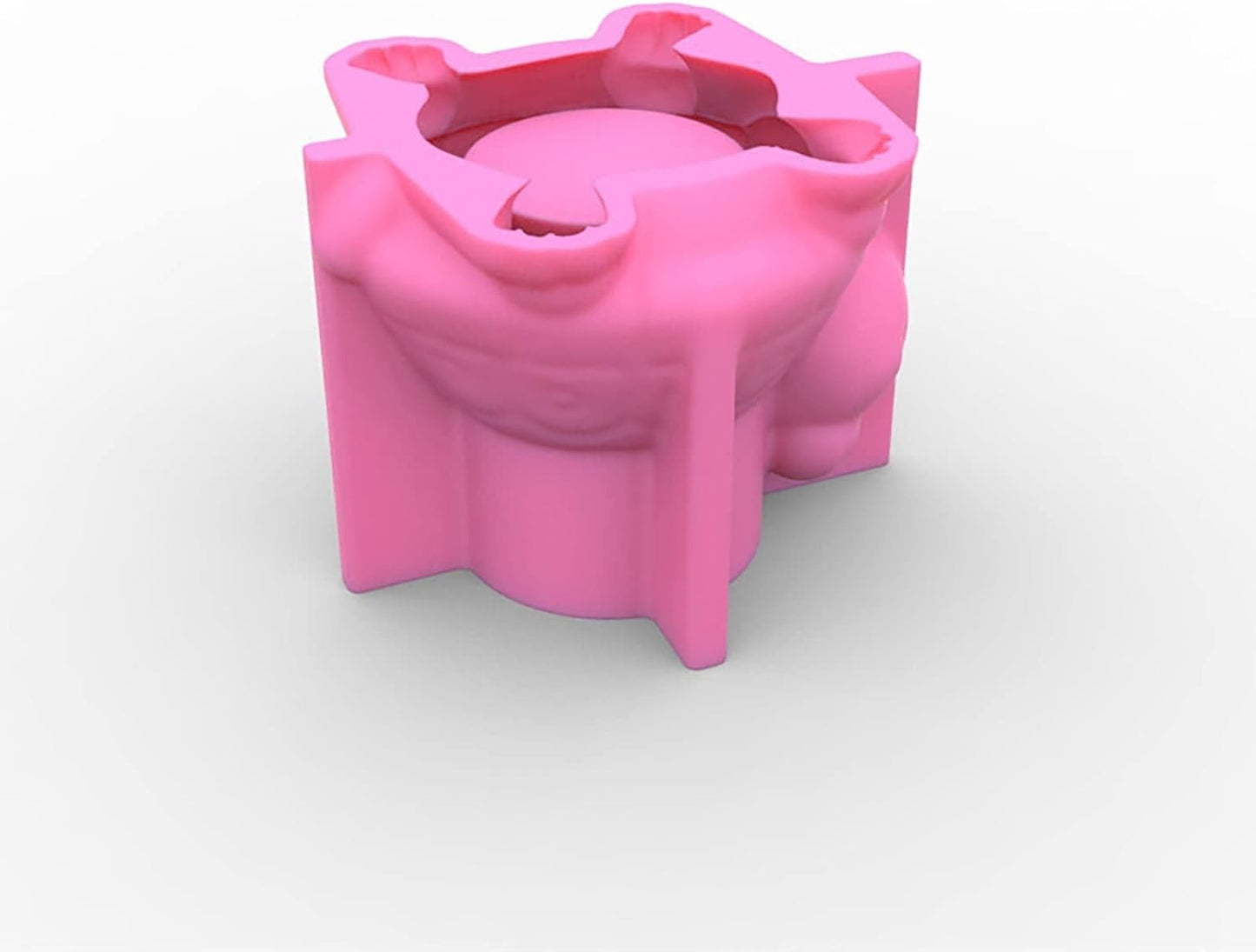 F19-G48 cement turtle mold