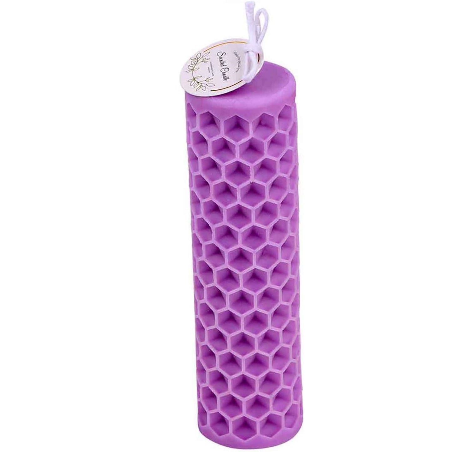 F20-SXY040 bee candle mold