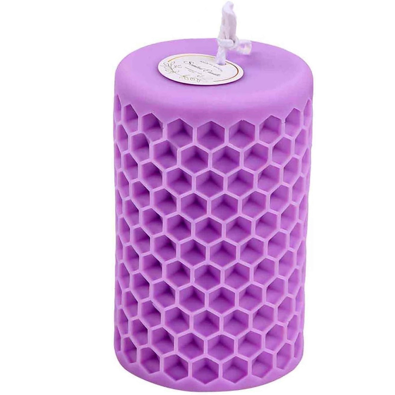 F20-SXY040 bee candle mold