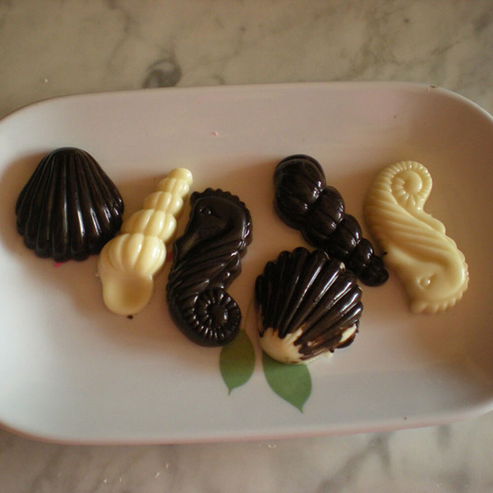 19278 / Seashells Shaped Chocolate Candy Molds