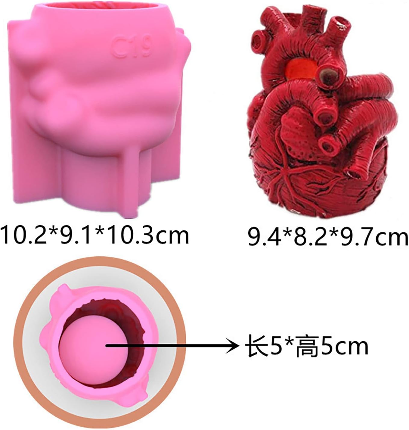 F19-G20 heart cement mold